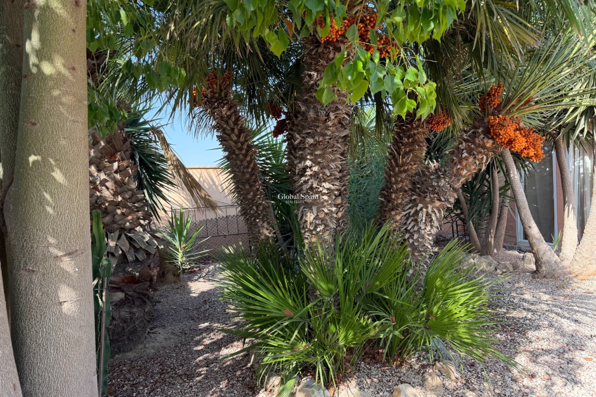 Resale - HOUSE -
LA MARINA - Elche / Elx