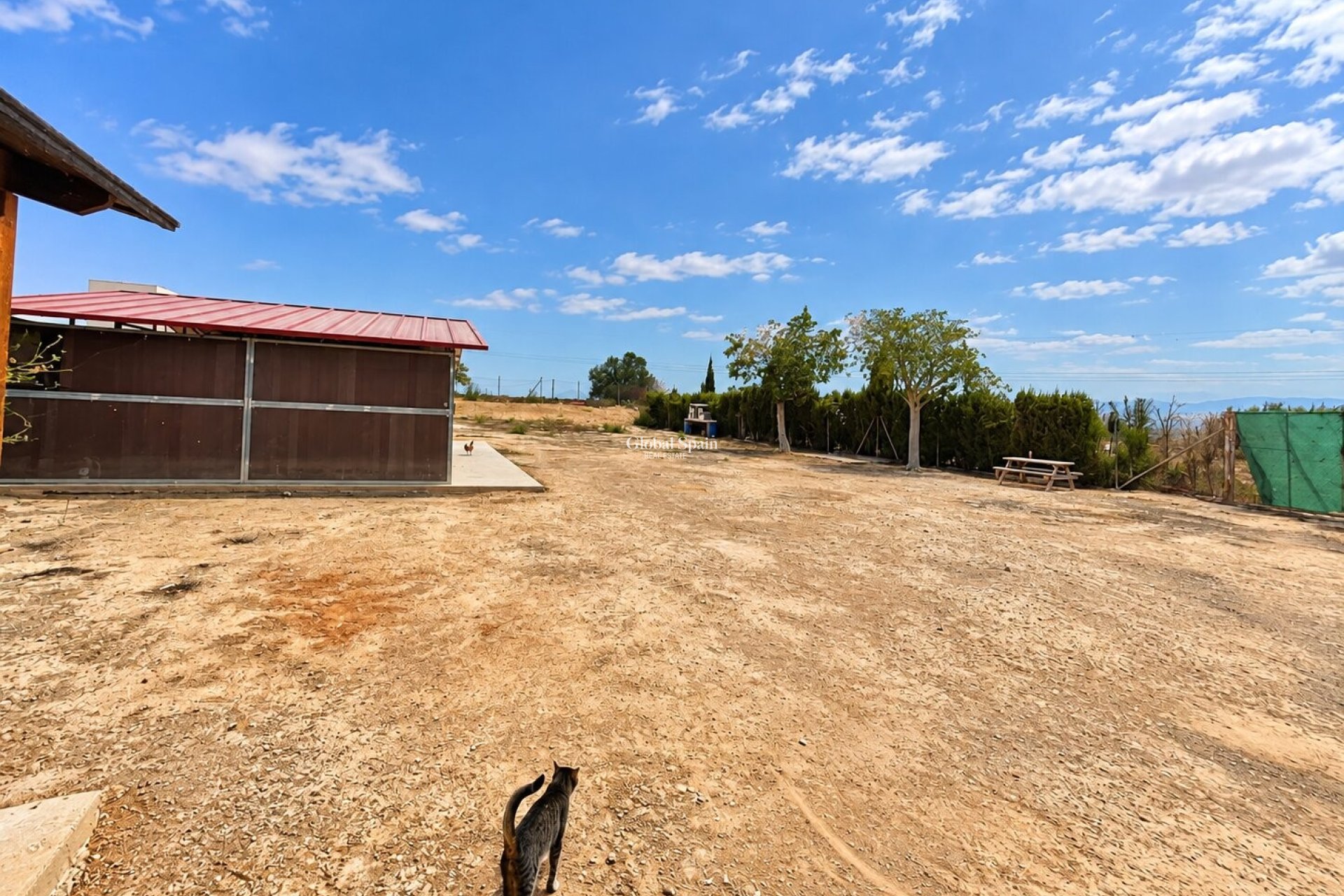 Resale - HOUSE -
LA MARINA - La Marina - Country