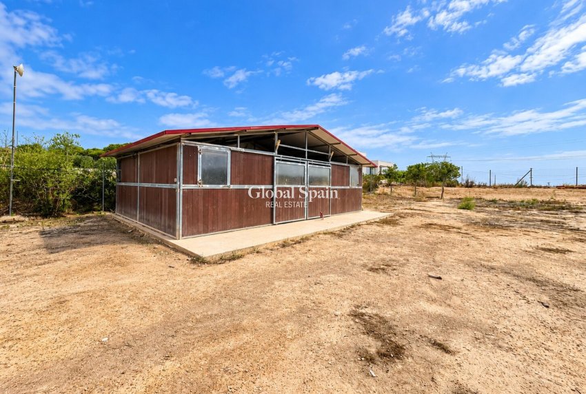 Resale - HOUSE -
LA MARINA - La Marina - Country
