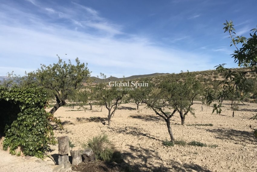 Resale - HOUSE -
LORCA - Costa Calida