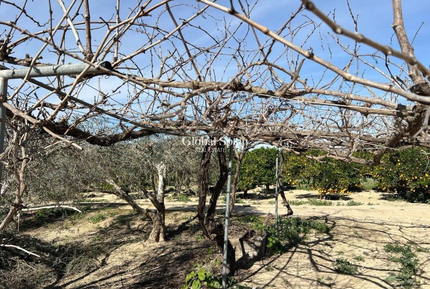 Resale - HOUSE -
LOS MONTESINOS - Comunidad Valenciana