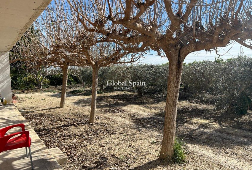 Resale - HOUSE -
LOS MONTESINOS - Comunidad Valenciana