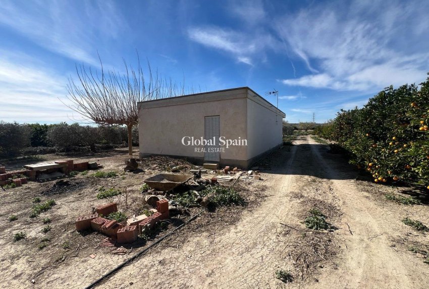 Resale - HOUSE -
LOS MONTESINOS - Comunidad Valenciana