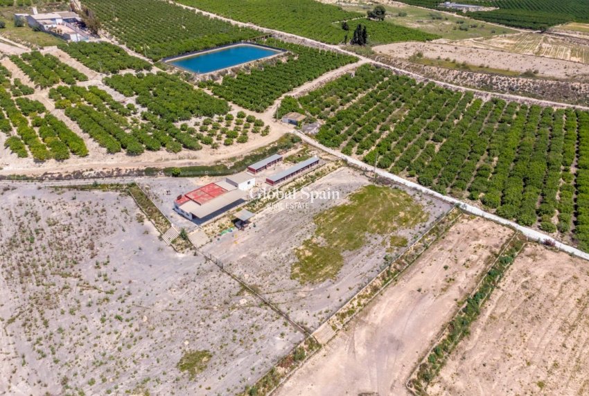 Resale - HOUSE -
LOS MONTESINOS