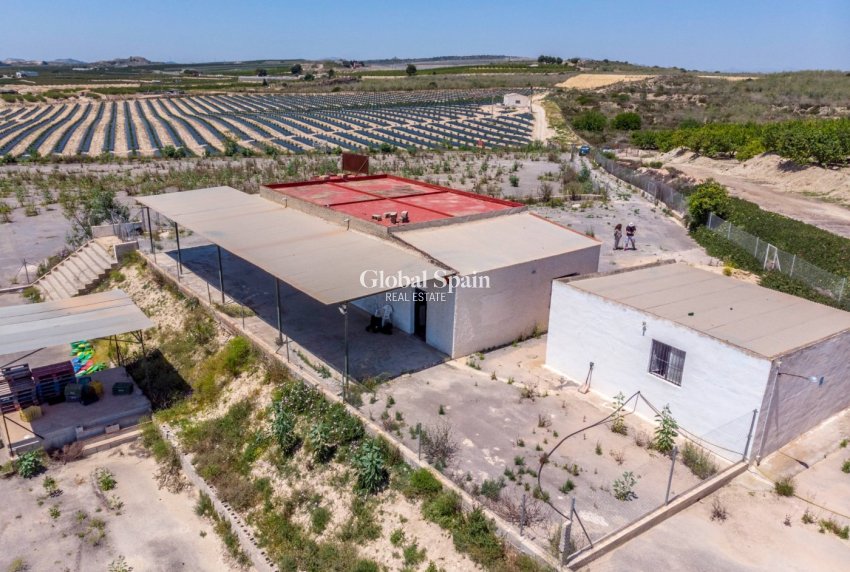 Resale - HOUSE -
LOS MONTESINOS