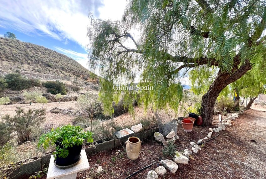 Resale - HOUSE -
MONÓVAR - Inland