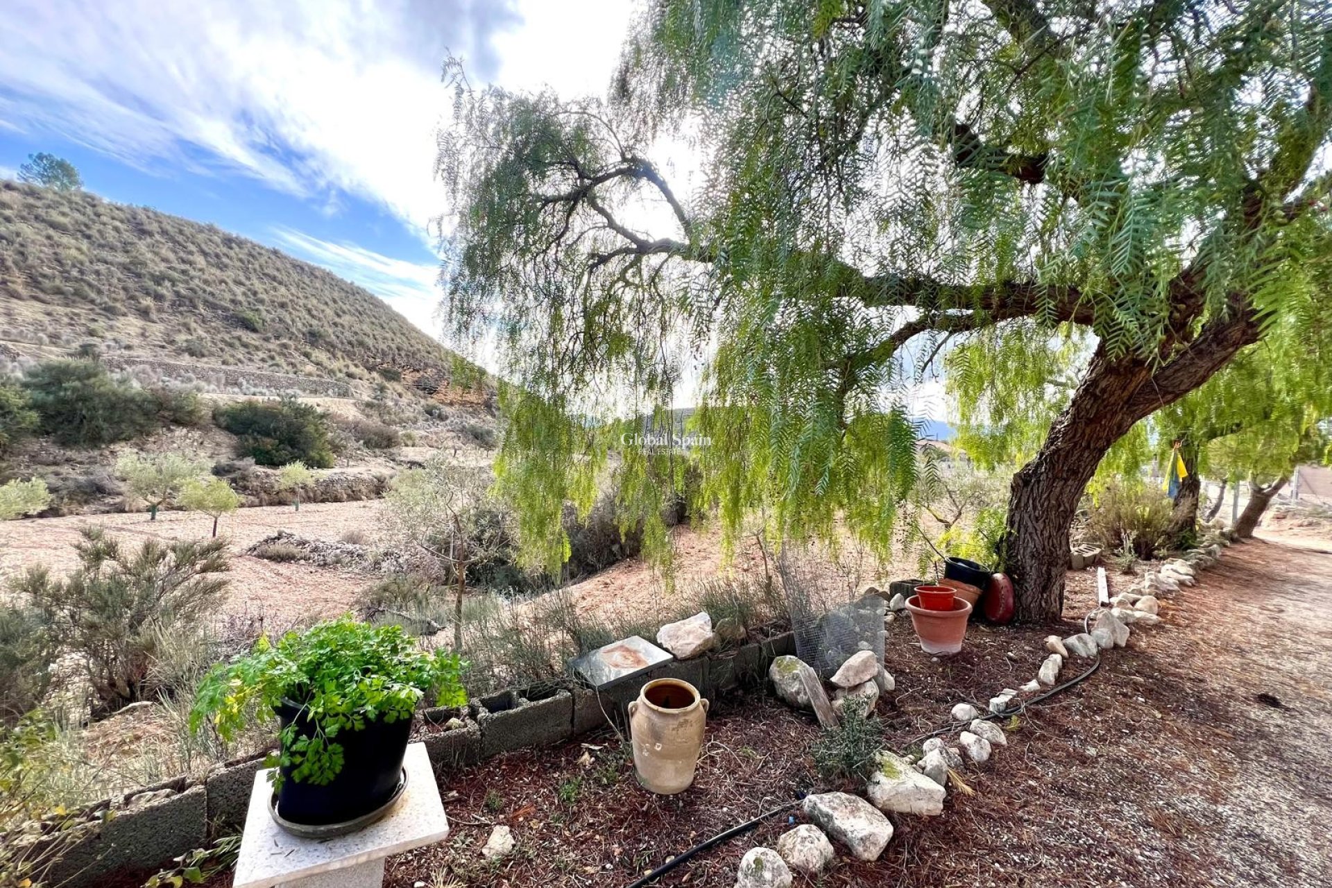 Resale - HOUSE -
MONÓVAR - Inland