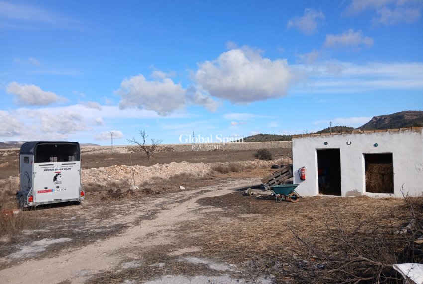 Resale - HOUSE -
MONÓVAR - Inland