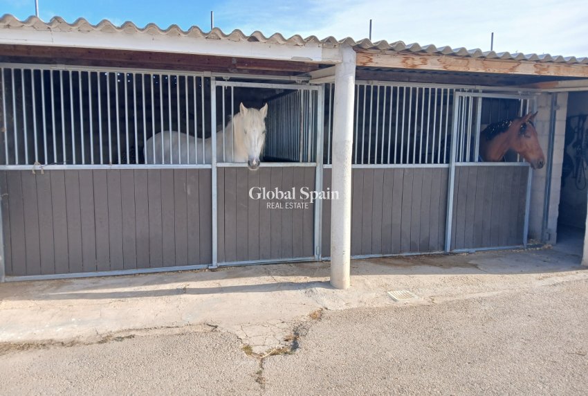 Resale - HOUSE -
MONÓVAR - Inland