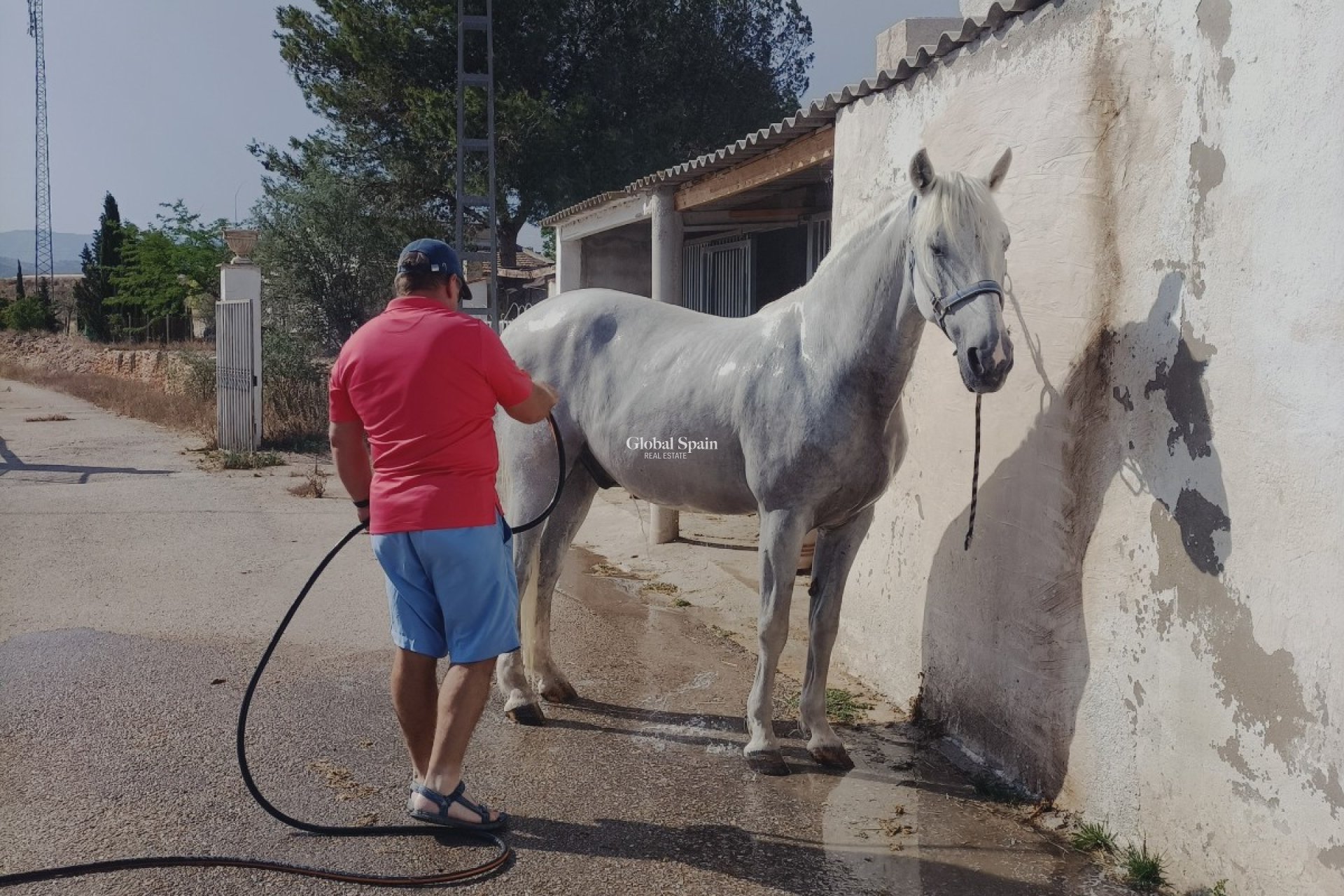 Resale - HOUSE -
MONÓVAR - Inland