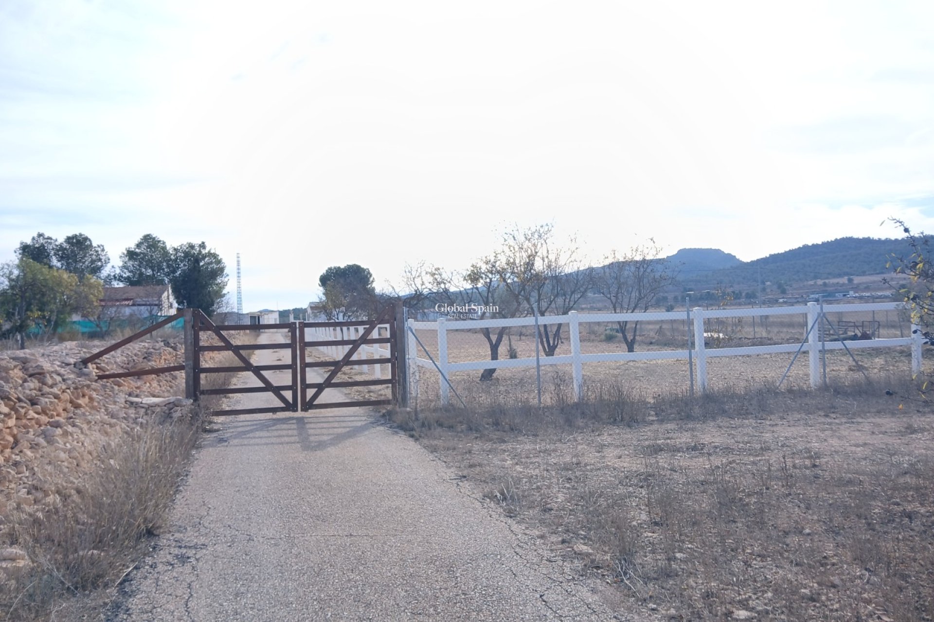 Resale - HOUSE -
MONÓVAR - Inland