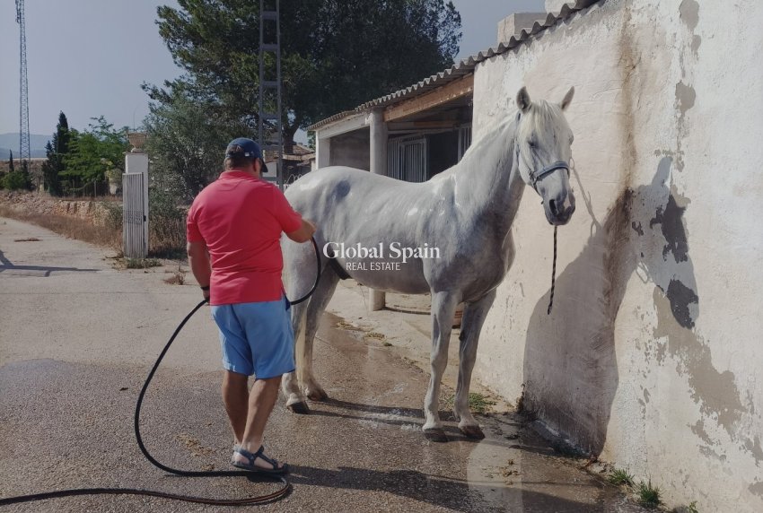 Resale - HOUSE -
MONÓVAR - Inland