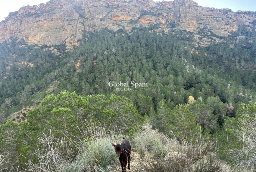 Resale - HOUSE -
MURCIA - Inland