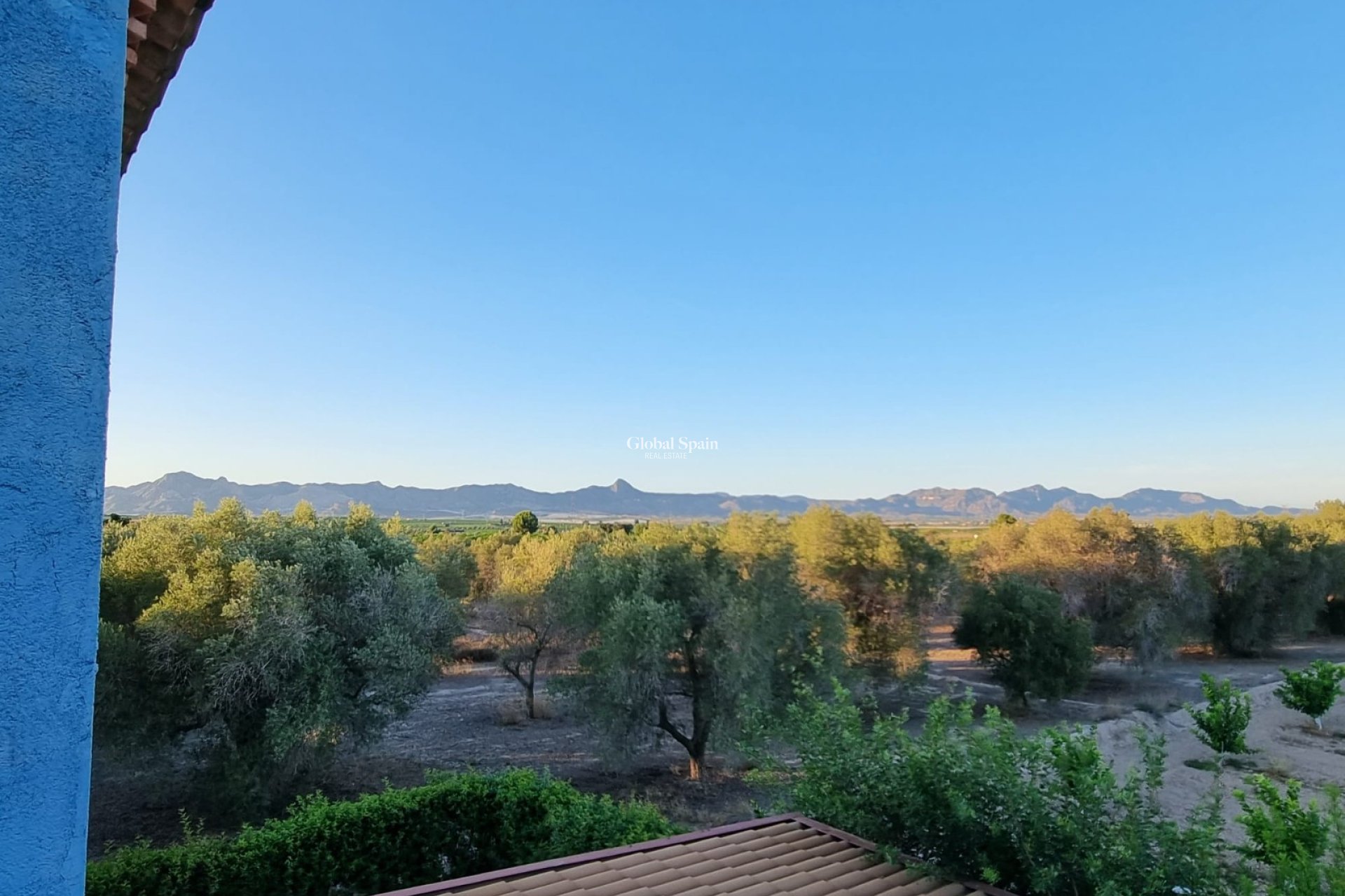 Resale - HOUSE -
ORIHUELA - Benferri