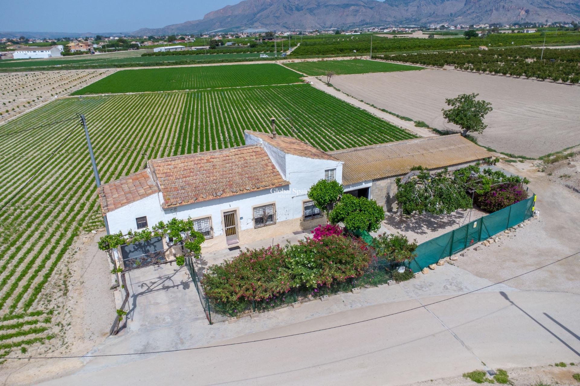 Resale - HOUSE -
ORIHUELA - Desamparados-hurchillo-torremendo