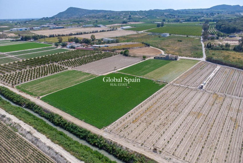 Resale - HOUSE -
ORIHUELA - Desamparados-hurchillo-torremendo
