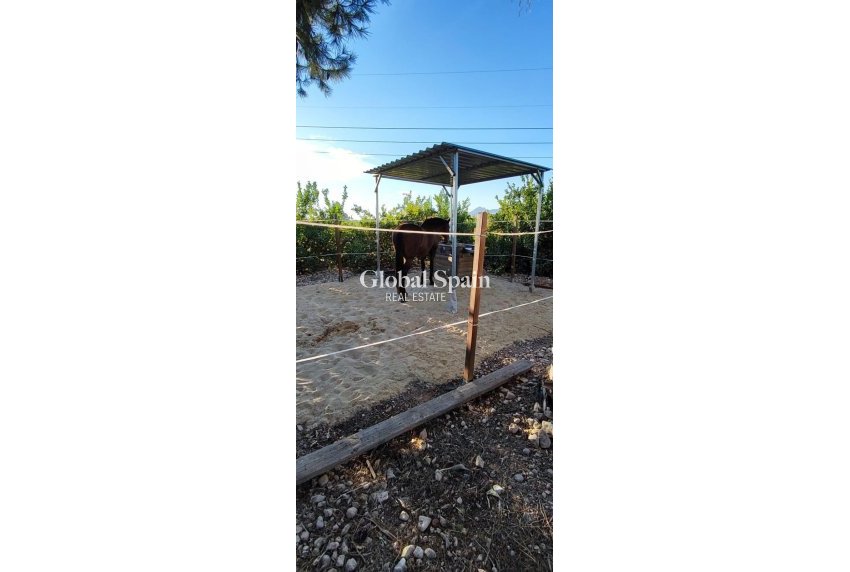 Resale - HOUSE -
ORIHUELA - Inland