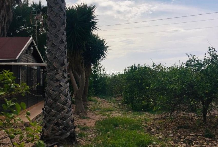 Resale - HOUSE -
ORIHUELA - Inland