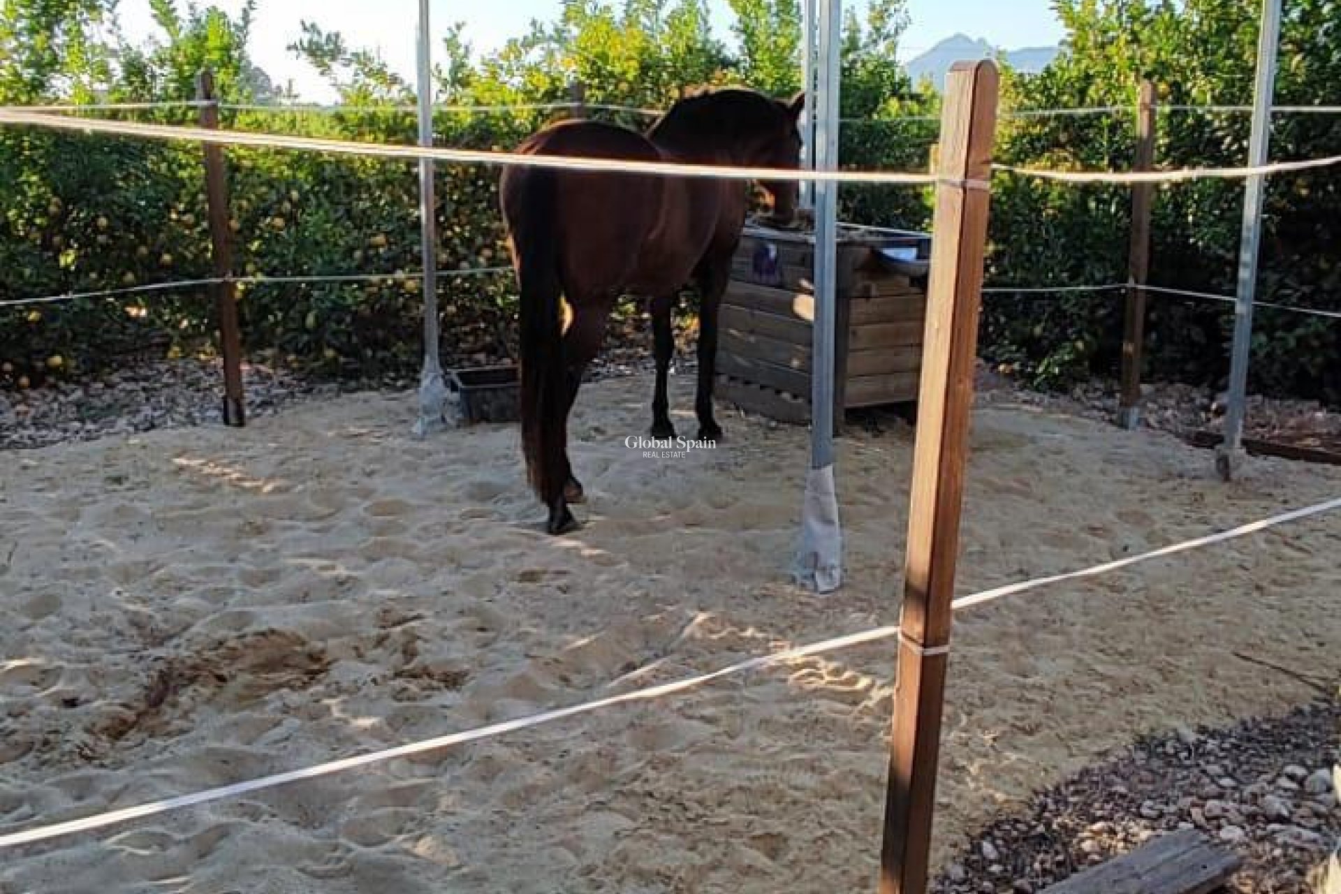 Resale - HOUSE -
ORIHUELA - Inland