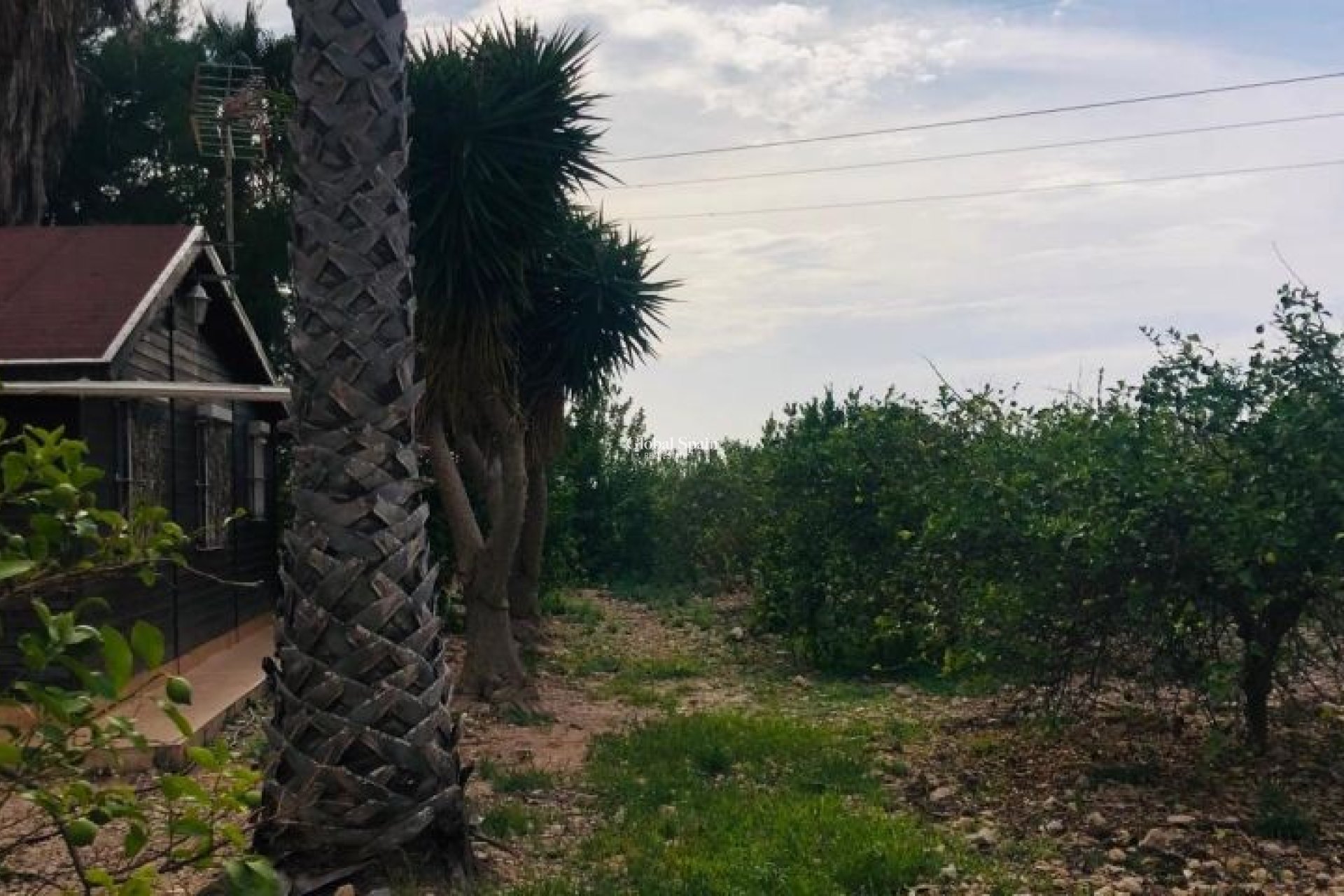 Resale - HOUSE -
ORIHUELA - Inland