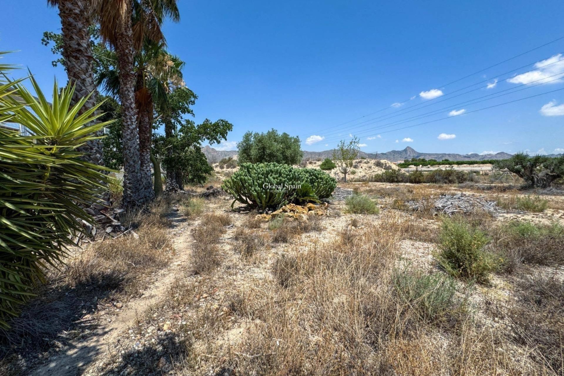 Resale - HOUSE -
ORIHUELA - Inland
