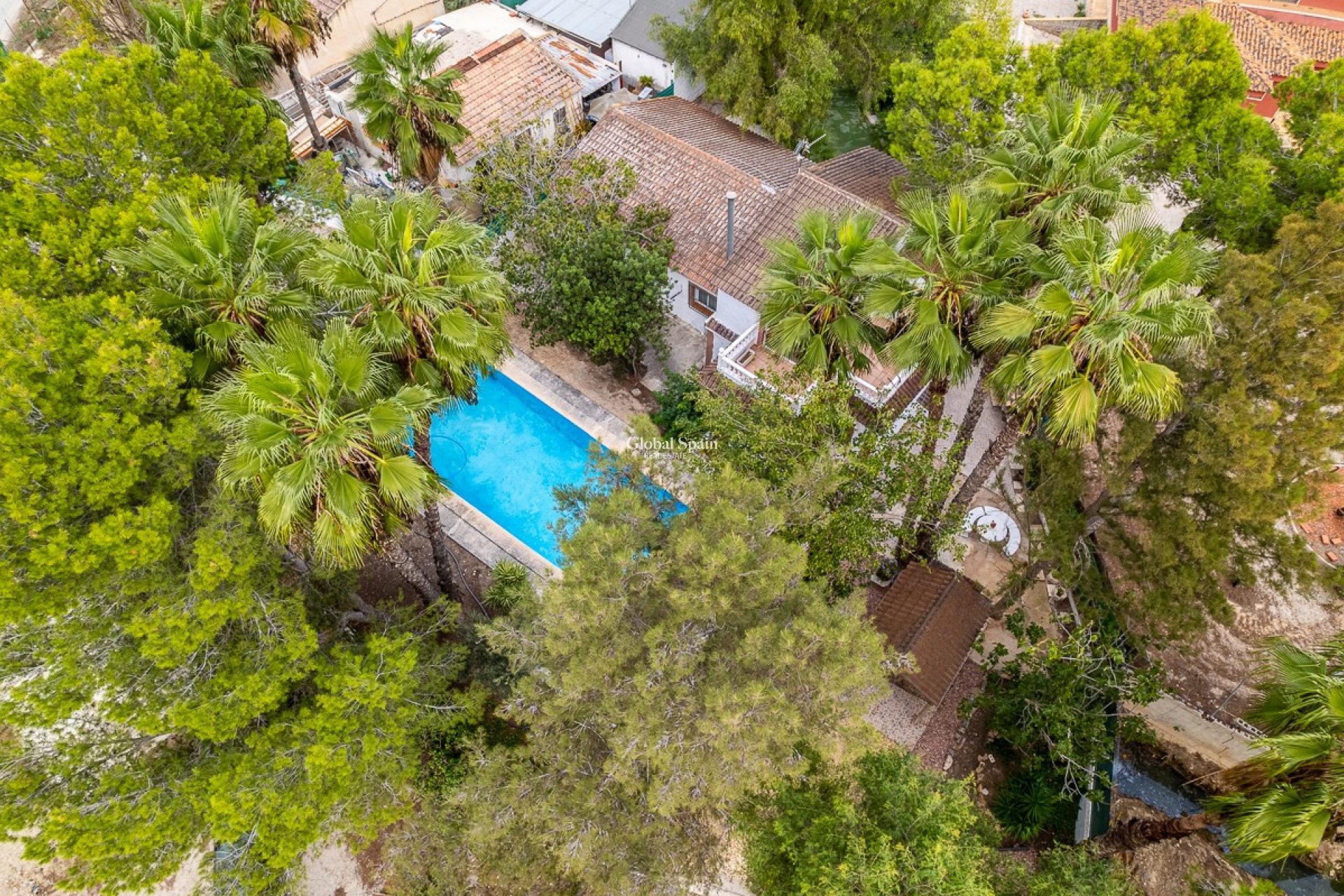 Resale - HOUSE -
ORIHUELA