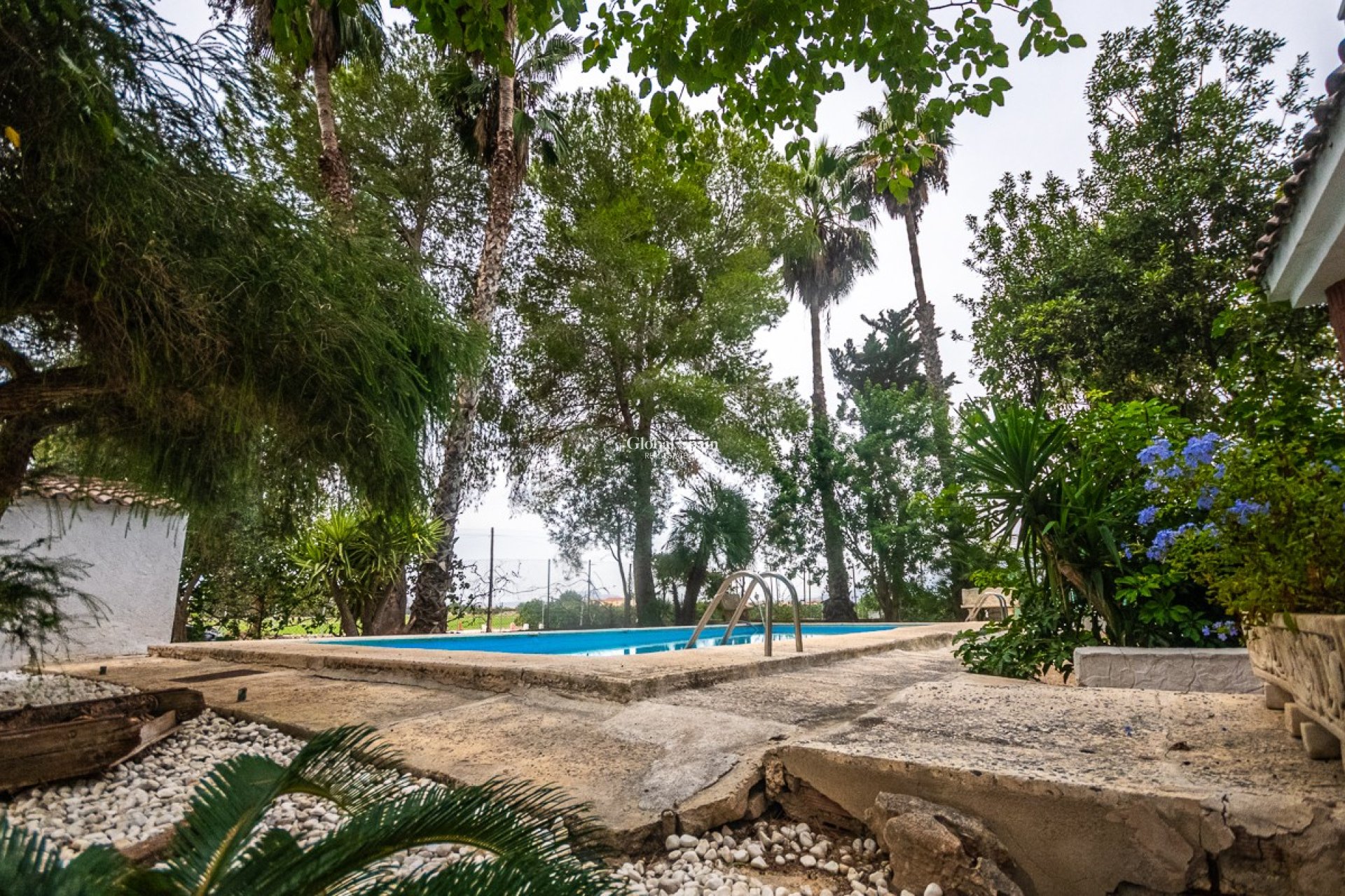 Resale - HOUSE -
ORIHUELA