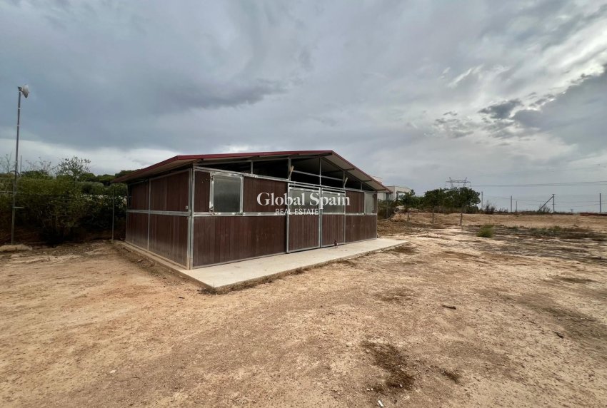 Resale - HOUSE -
San Fulgencio - San Fulgencio - Country