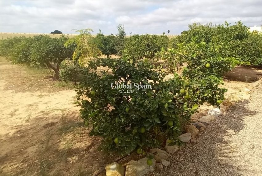 Resale - HOUSE -
SAN JAVIER - Costa Calida