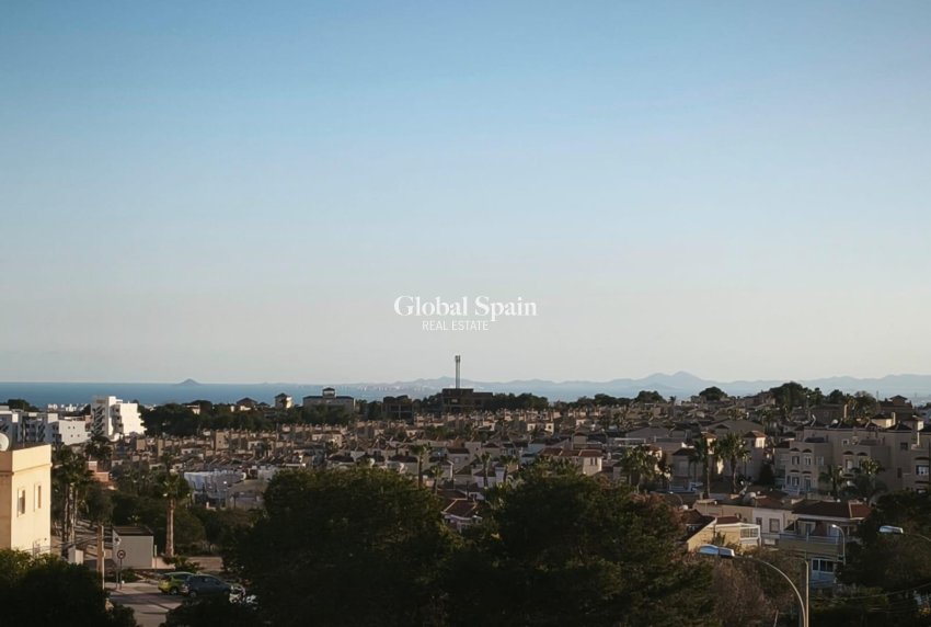 Resale - HOUSE -
SAN MIGUEL DE SALINAS - El galan