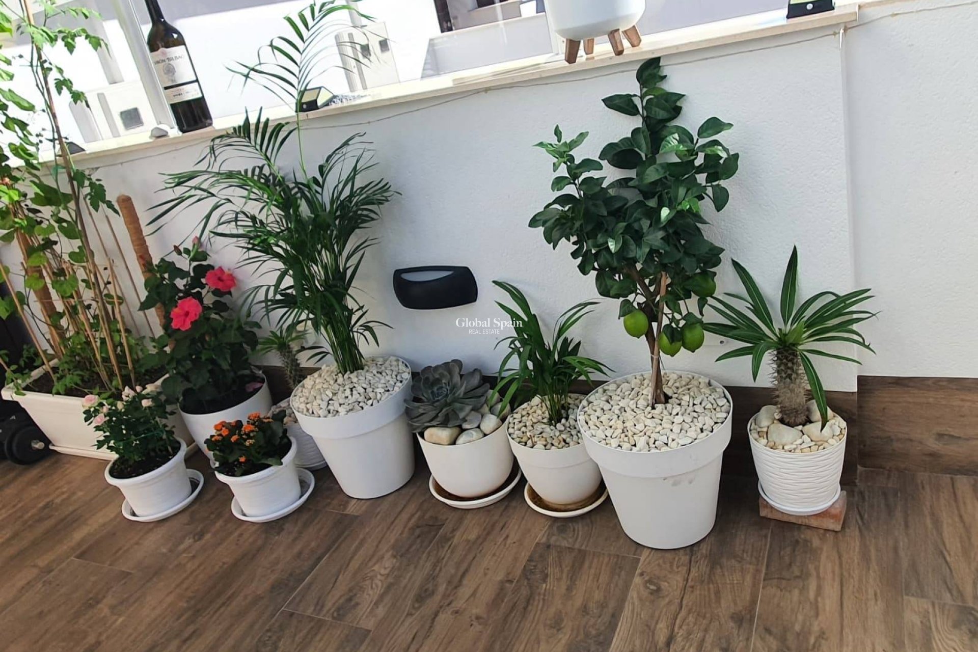 Resale - HOUSE -
SAN PEDRO DEL PINATAR - CENTRO