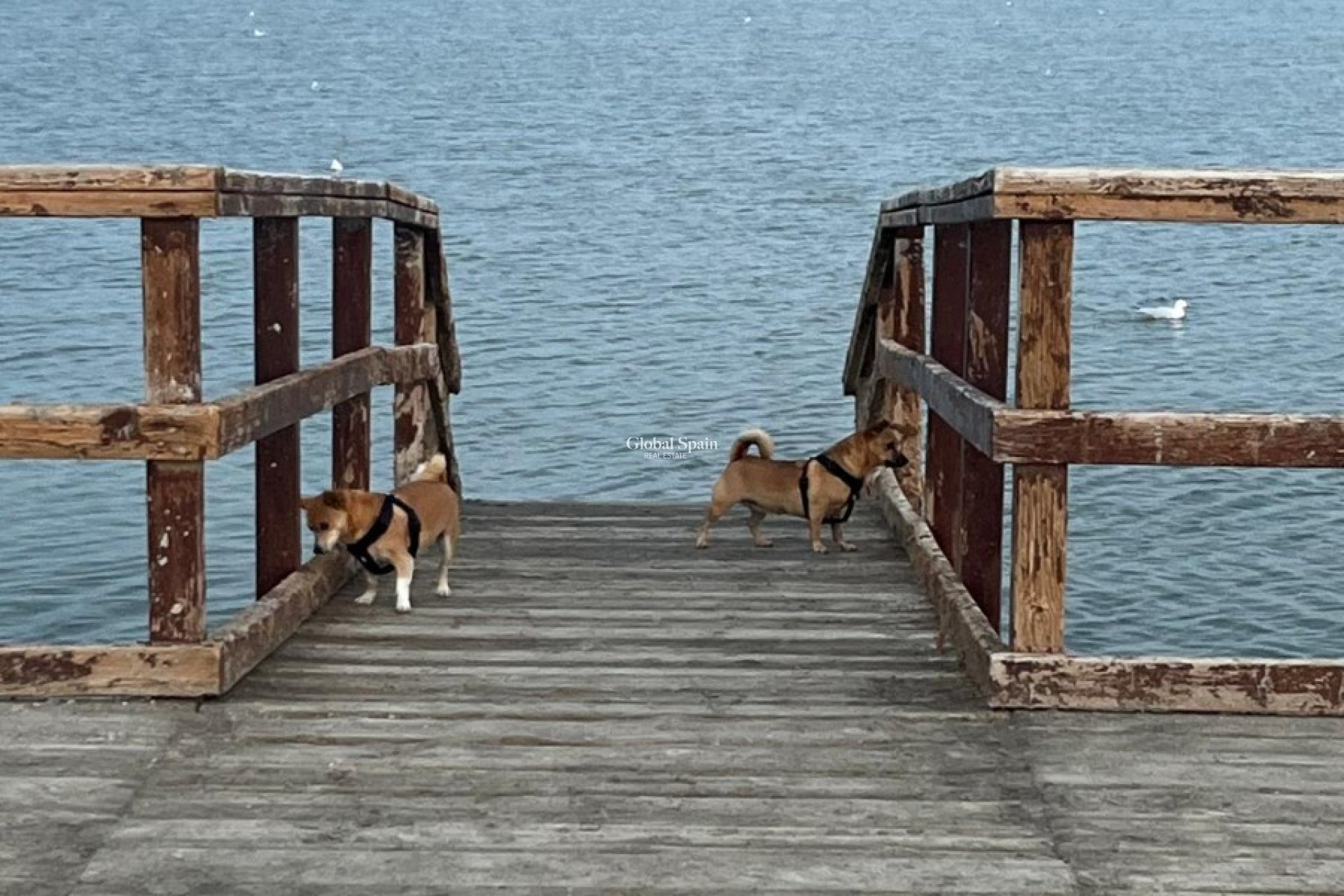 Resale - HOUSE -
SAN PEDRO DEL PINATAR - Los Antolinos