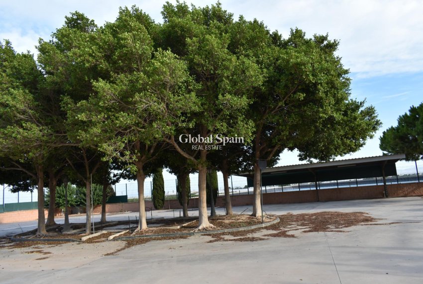 Resale - HOUSE -
TORRE PACHECO - Dolores De Pacheco