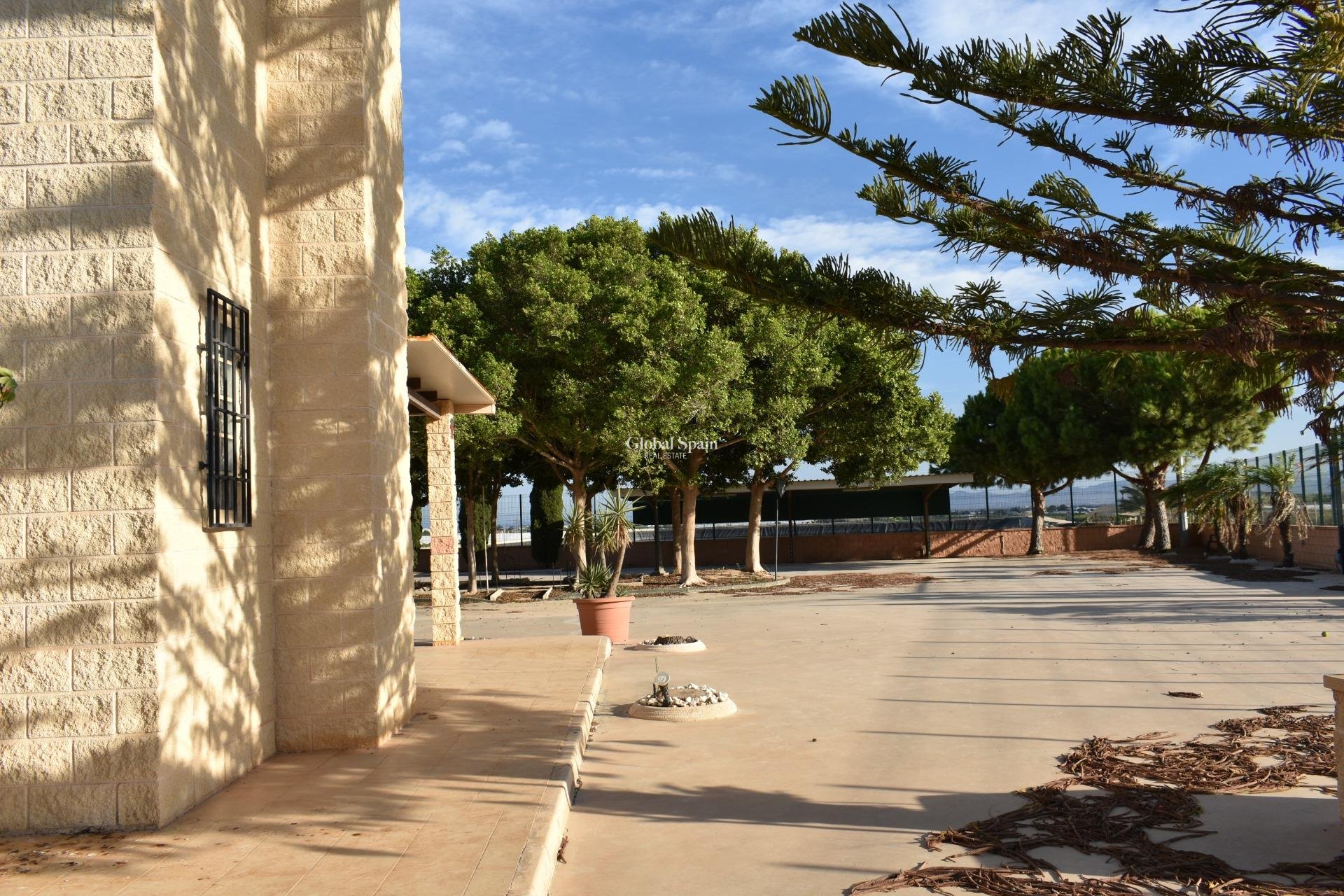 Resale - HOUSE -
TORRE PACHECO - Dolores De Pacheco