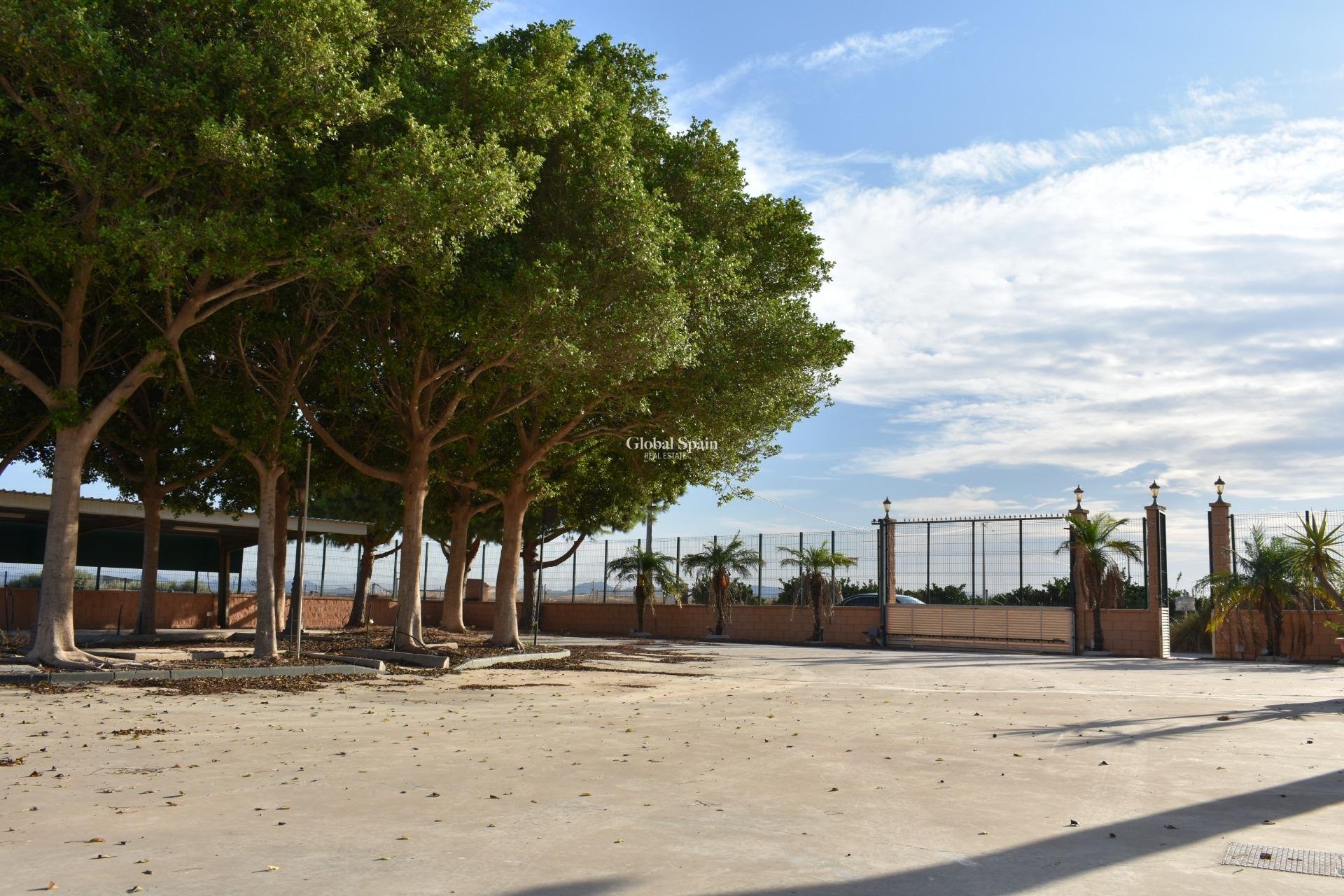 Resale - HOUSE -
TORRE PACHECO - Dolores De Pacheco