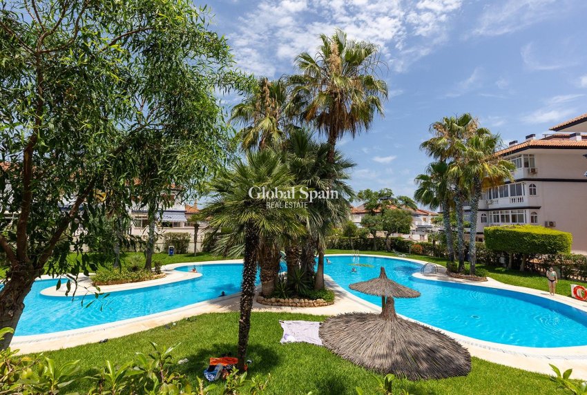 Resale - House -
TORREVIEJA - Cañada del Molino