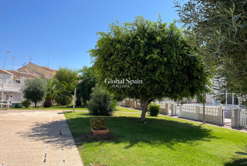 Resale - House -
TORREVIEJA - Center