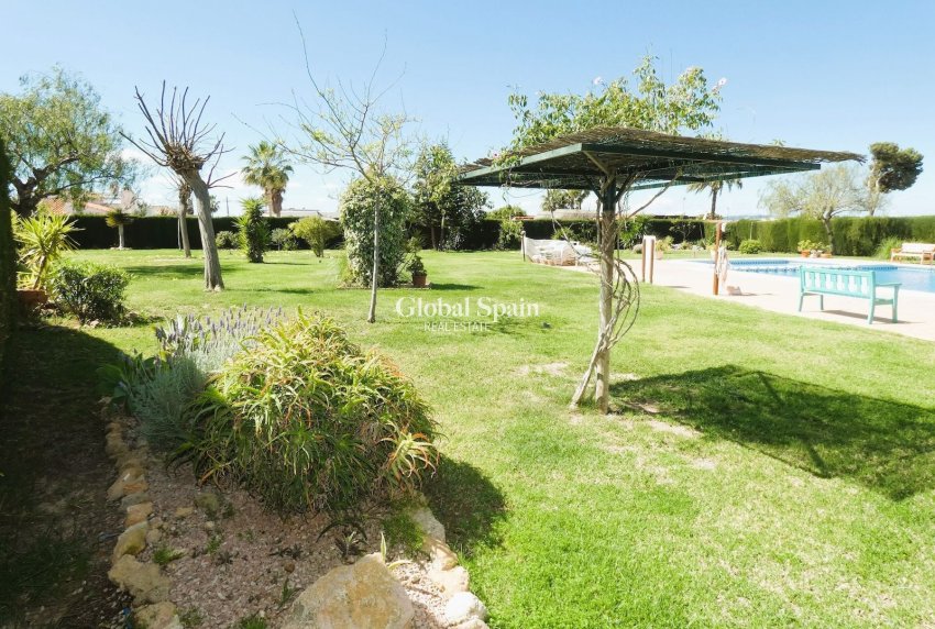 Resale - HOUSE -
TORREVIEJA - Costa Blanca