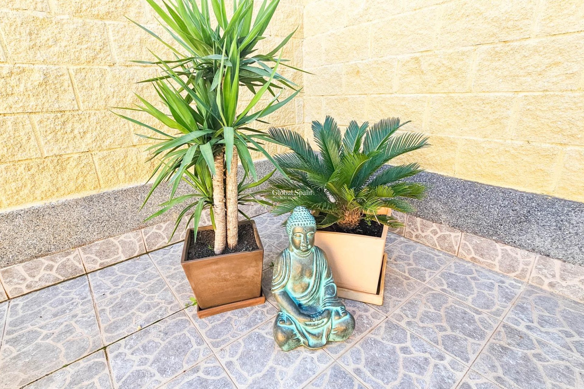 Resale - HOUSE -
TORREVIEJA - El limonar