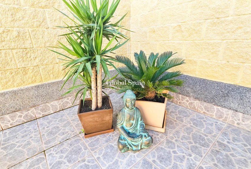 Resale - HOUSE -
TORREVIEJA - El limonar