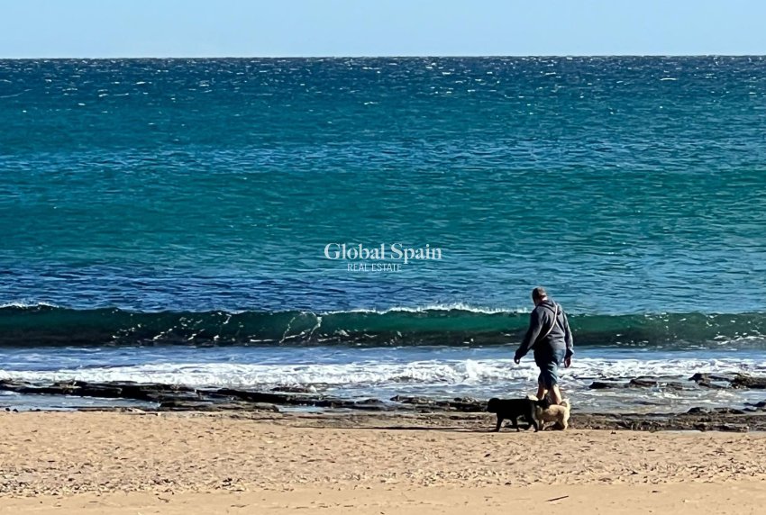 Resale - HOUSE -
TORREVIEJA - La Mata