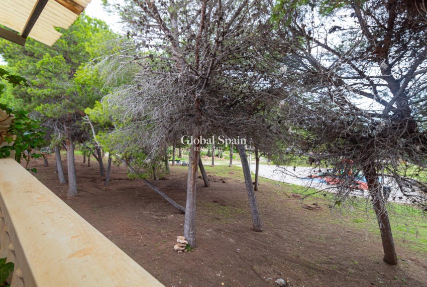 Resale - House -
TORREVIEJA - LOS BALCONES - LOS ALTOS