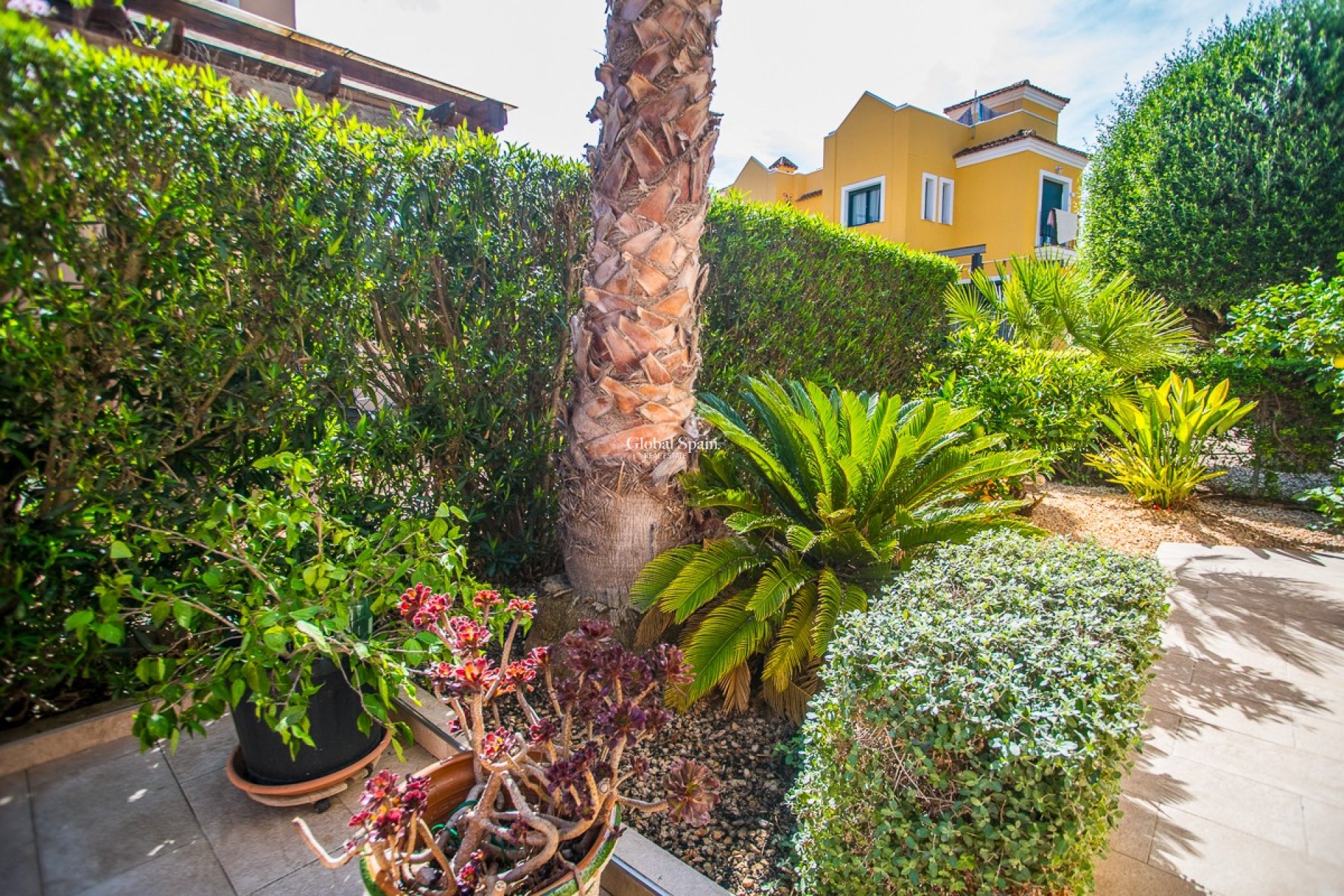 Resale - HOUSE -
TORREVIEJA - LOS BALCONES - LOS ALTOS