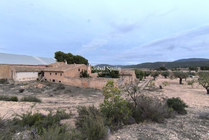 Resale - HOUSE -
VILLENA - Inland