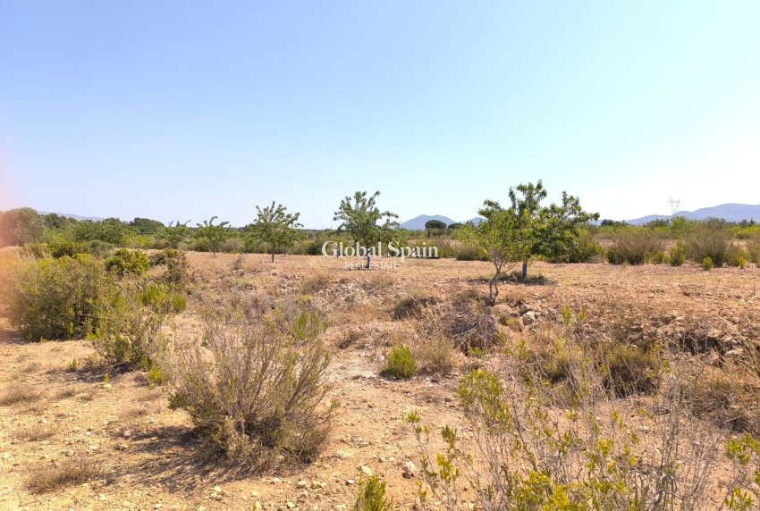 Resale - HOUSE -
VILLENA - Inland