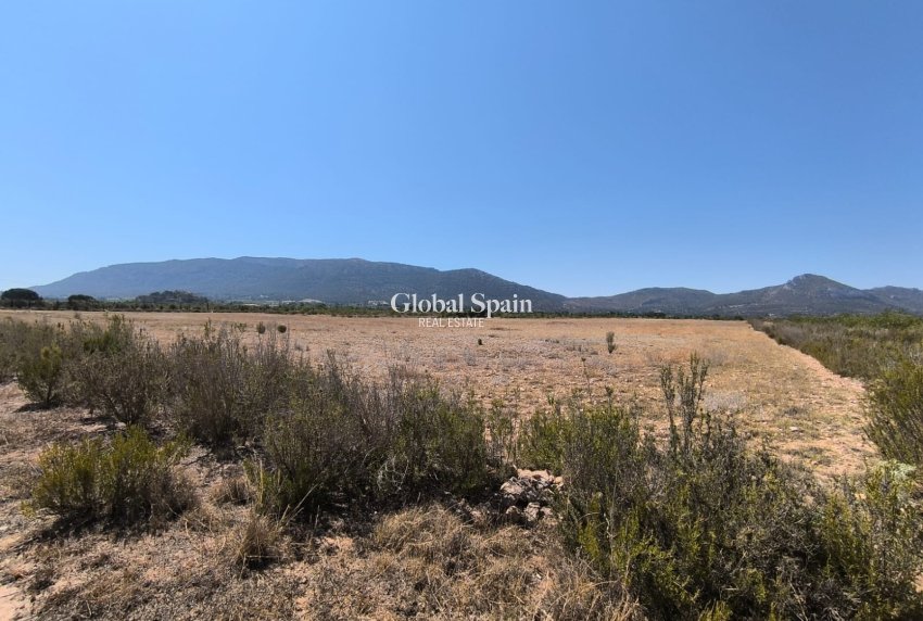 Resale - HOUSE -
VILLENA - Inland