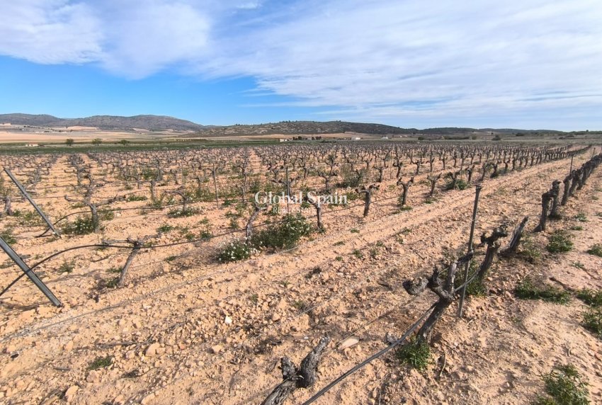 Resale - HOUSE -
YECLA - Inland