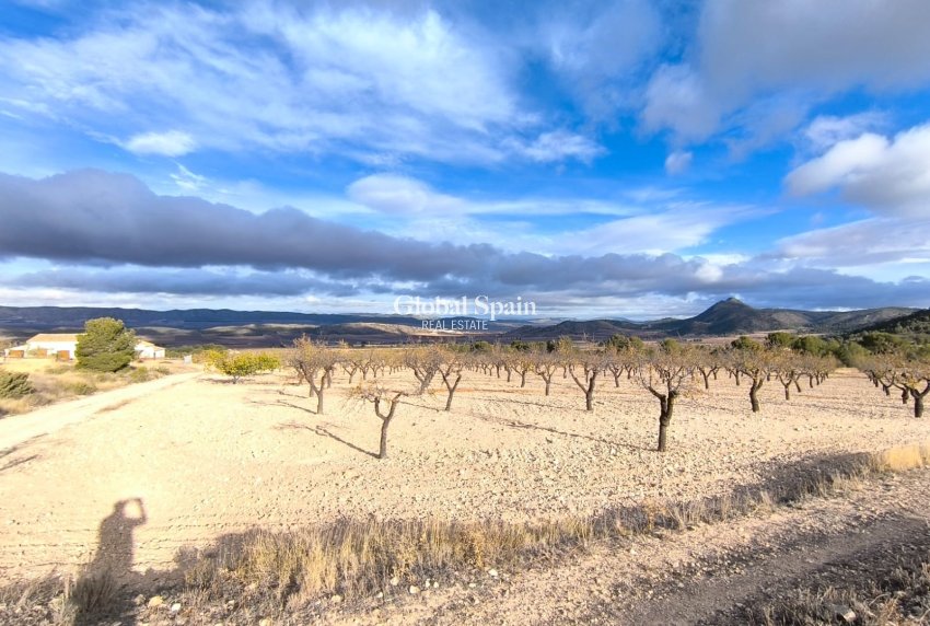 Resale - HOUSE -
YECLA - Inland