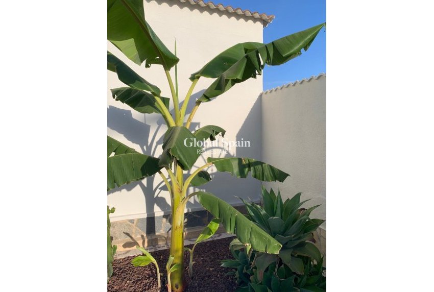 Resale - Independent villa -
CIUDAD QUESADA