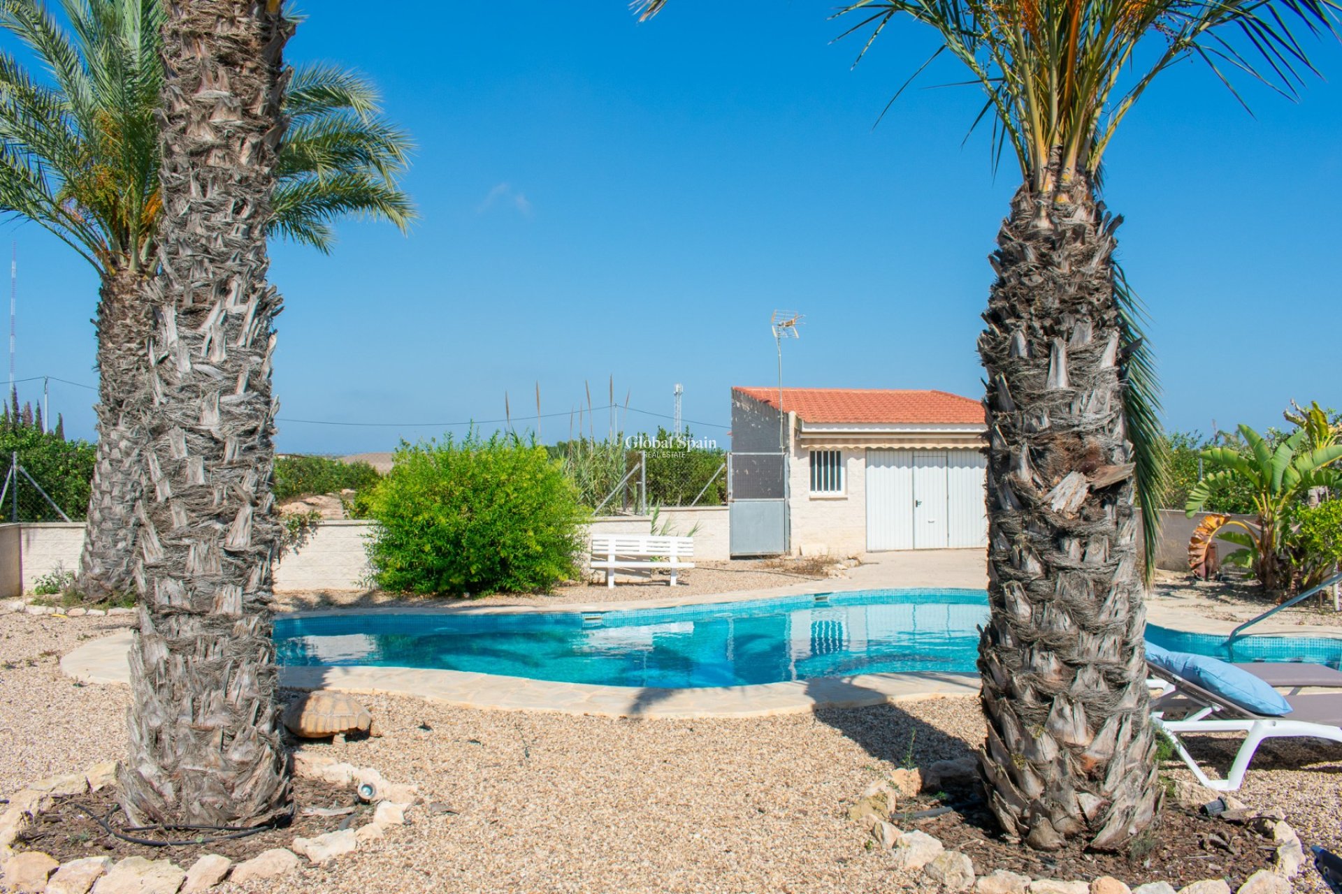 Resale - Independent villa -
GUARDAMAR DEL SEGURA - EL RASO